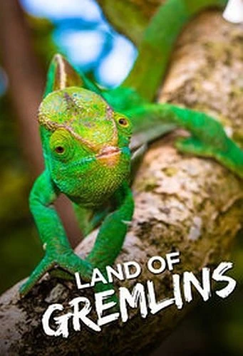 Земля гремлинов / Land of Gremlins (2015)