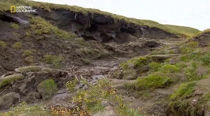 Скриншот 1