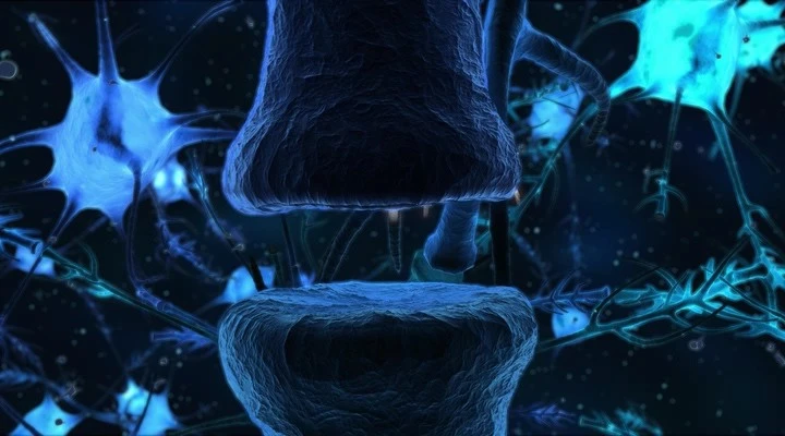 Скриншот 3