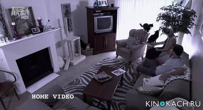 Скриншот 3