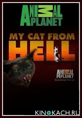 Адская кошка / My Cat from Hell (2011)