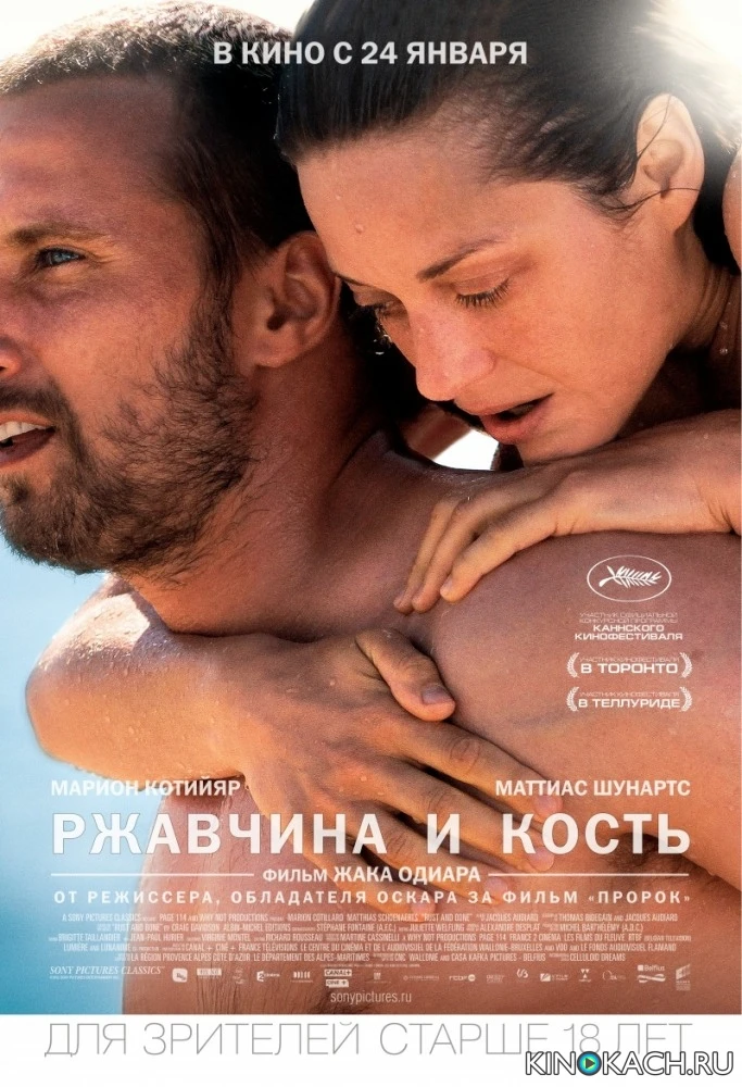 Ржавчина и кость / De rouille et d'os (2012)