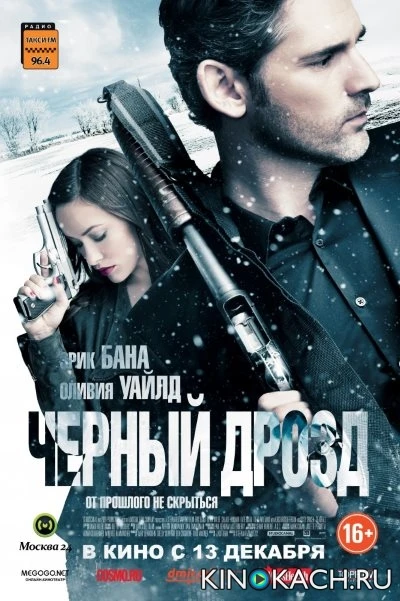 Чёрный дрозд / Deadfall (2012)
